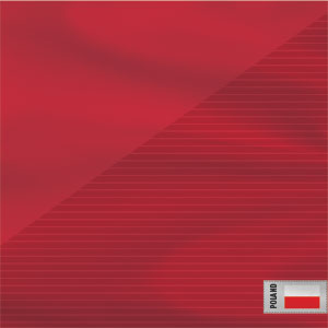 Poland Soccer Flag Bose SoundLink Mini Speaker II Skin